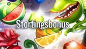 stortingsbonus